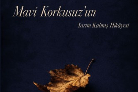 Mavi Korkusuz'un Yarım Kalmış Hikâyesi afişi / kapağı