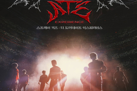 Stray Kids: The dominATE Deneyimi afişi / kapağı