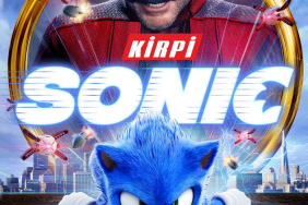 Kirpi Sonic afişi / kapağı